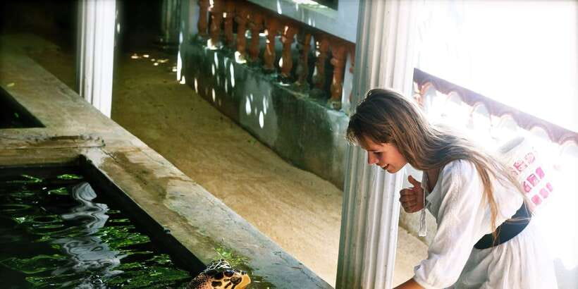 From Negombo: Bentota Full-Day Tour - Kothduwa Temple and the island setting