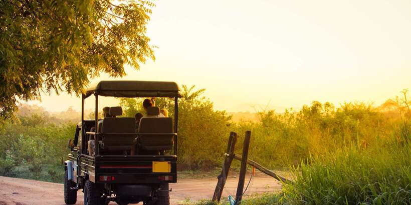 From Negombo: Minneriya National Park Safari Tour - Leaving Negombo at 8:00 AM
