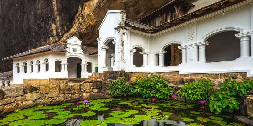 From Negombo: Sigiriya and Dambulla Day Trip and Safari - Who should book this day trip?