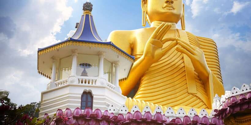 From Negombo: Sigiriya and Dambulla Day Trip and Safari - What the $75 price really covers