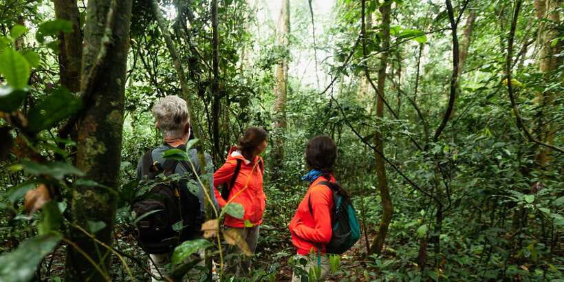 From Western Province: 2-Day Hill Country Highlights Trip - Udawalawe National Park and the search for elephants