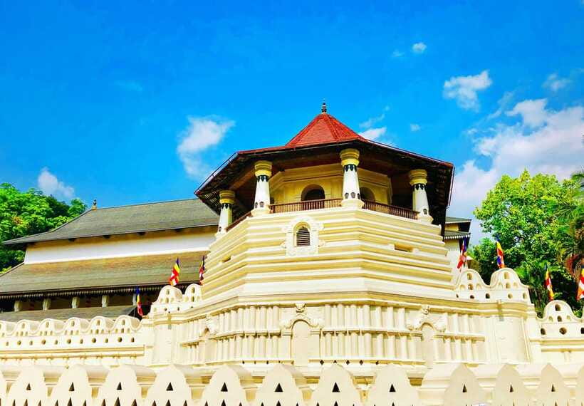 Full Coverage Kandy City Day Tour - Tea production at Pilimathalawa and Giragama
