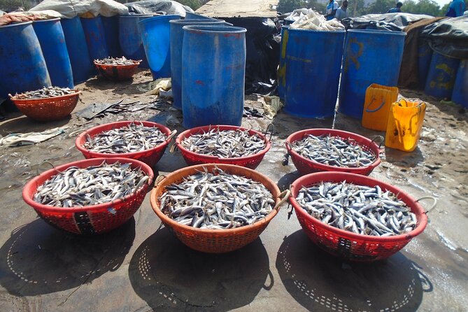 Fun and Scenic Negombo Tour by Tuk Tuk - The fish market beside the beach
