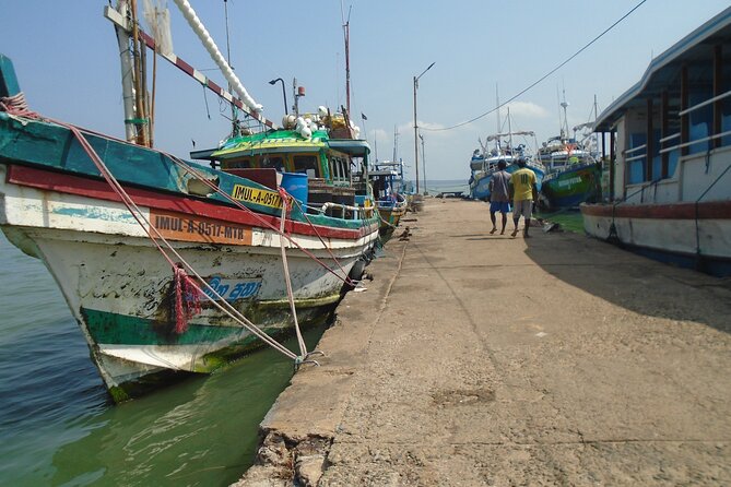 Fun and Scenic Negombo Tour by Tuk Tuk - Negombo Beach and the Hamilton Canal