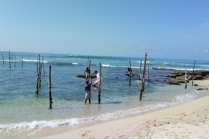 Galle day tour - Colombo to Galle trip - All Included - Kosgoda Turtle Conservation and Research Centre