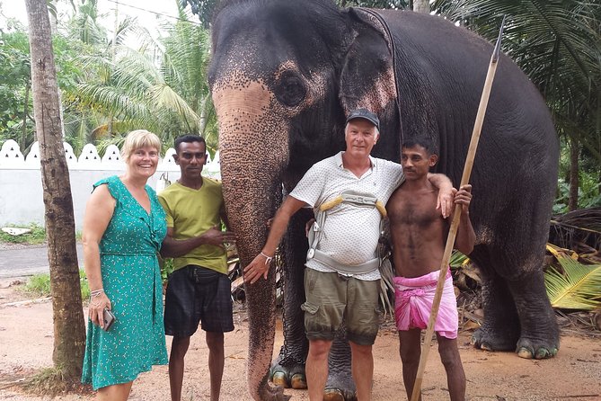 Galle Day Tour From Colombo - The Madu River safari is the day’s best nature stop