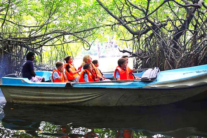 Galle Day Tour from Colombo or Negombo by Private Car , Van with Driver - Bentota Beach and optional water sports