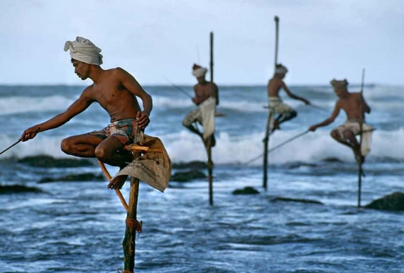 Galle Day Trip - River Safari, Sea Turtle & Stilt Fishermen - One long day from Bentota to Galle