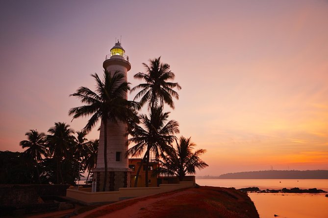 Galle Fort & Bentota Day Trip from Colombo - Meeting turtles at the protection center
