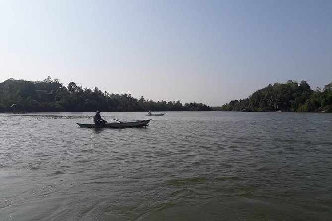 Galle Fort, Turtle, - Private Day Tour From Negombo or Colombo - Madu wetlands can widen the day