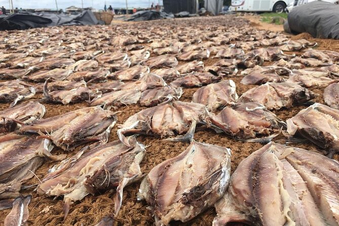 Half-Day Negombo City Tour with Ayurvedic Massage & Local Lunch - Key points to know before booking
