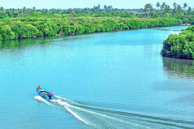 Half Day Tour to Muthurajawela, Lagoon, Dutch Canal and Mangroves - Following the old Dutch Canal