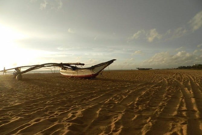 Half Day Tour to Muthurajawela, Lagoon, Dutch Canal and Mangroves - Reaching the Negombo lagoon