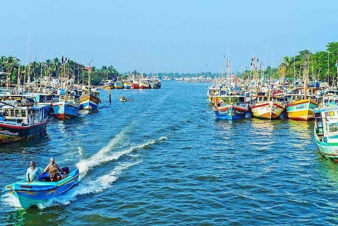 Half Day Tour to Muthurajawela, Lagoon, Dutch Canal and Mangroves - How much wildlife can you expect?