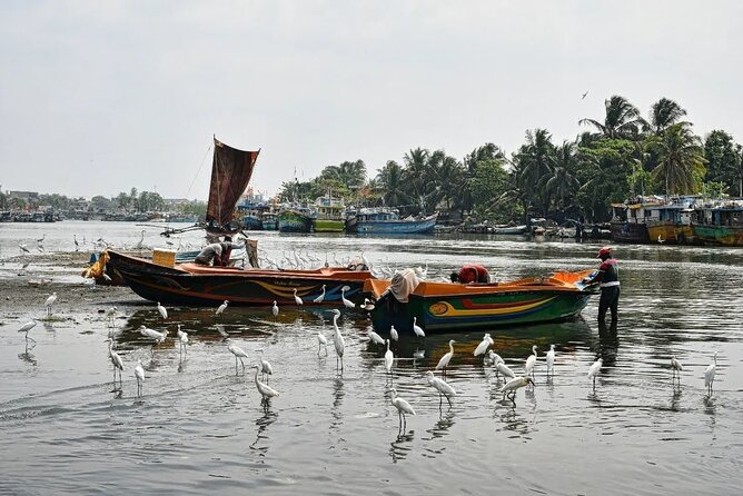 Heritage & Cultural Walk in Negombo - Pace, fitness, and private touring