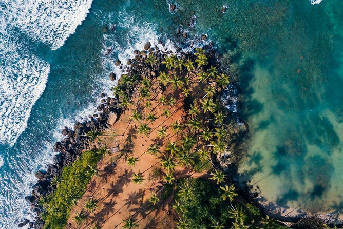 Highlights of Sri Lanka 8 Days Private Tour - A fast route through Sri Lanka’s many faces