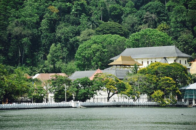 Highlights of Sri Lanka 8 Days Private Tour - Day 4: Kandy’s sacred temple and the tea country