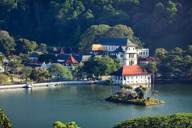 Kandy City Tour from Colombo - Peradeniya Royal Botanical Gardens after the early start