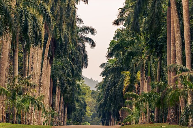 Kandy City Tour from Colombo - Driving, timing, and comfort