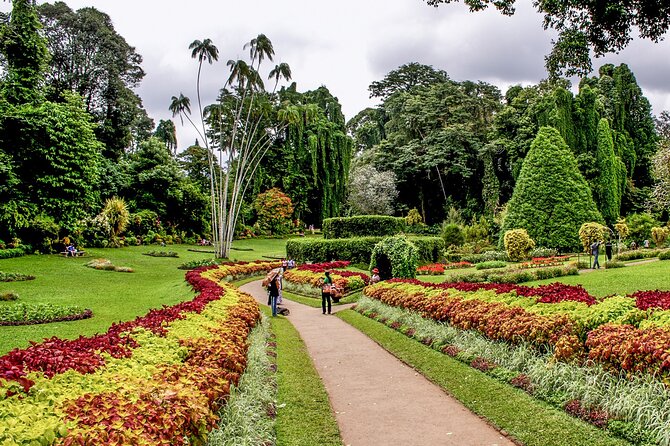 Kandy City Tour from Colombo - Who should book this Kandy day trip?