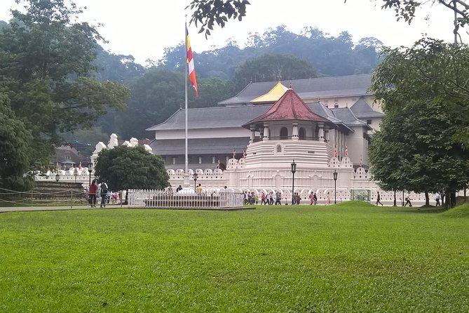 Kandy Day Tour From Colombo - What the $200 price really covers