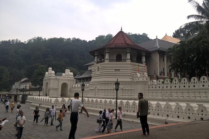 Kandy Day Tour From Colombo - How to shape the day around your interests