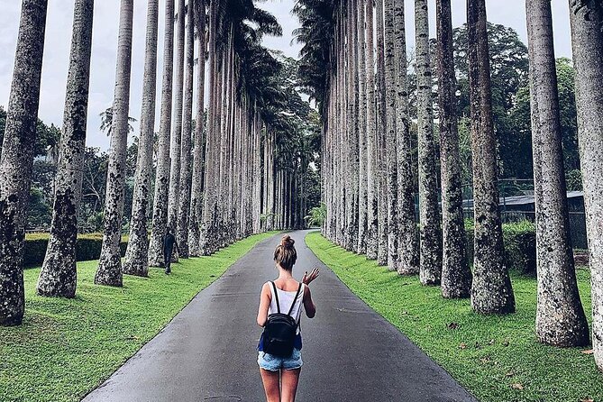 Kandy Day Tour From Colombo - The elephant option and other extra stops