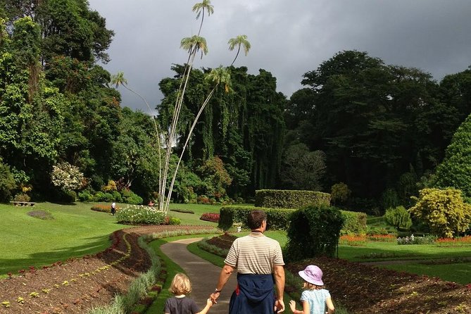 Kandy Day Tour From Colombo - What the $55 price really covers