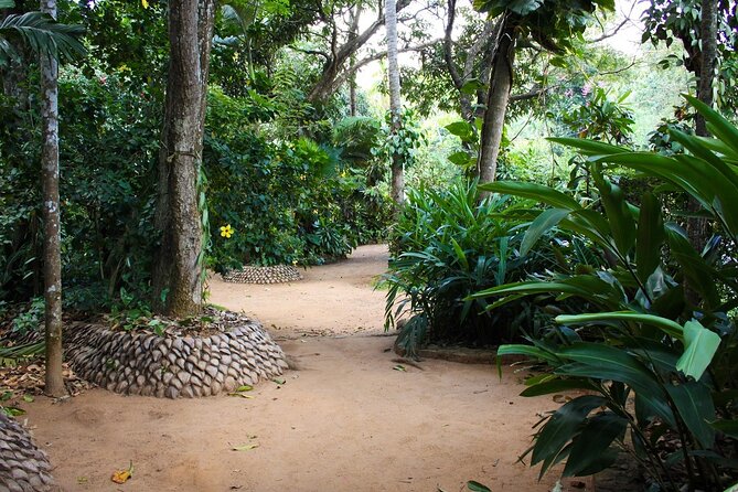 Kandy Full-Day Tour - What the $120 price includes, and what it does not