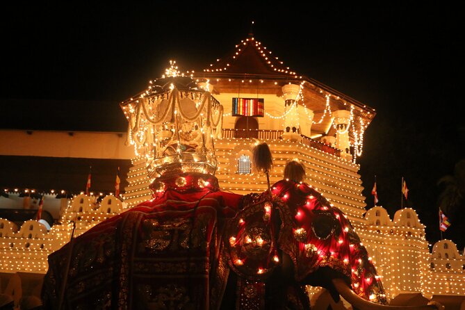 Kandy Full-Day Tour - The Temple of the Sacred Tooth Relic in one focused hour