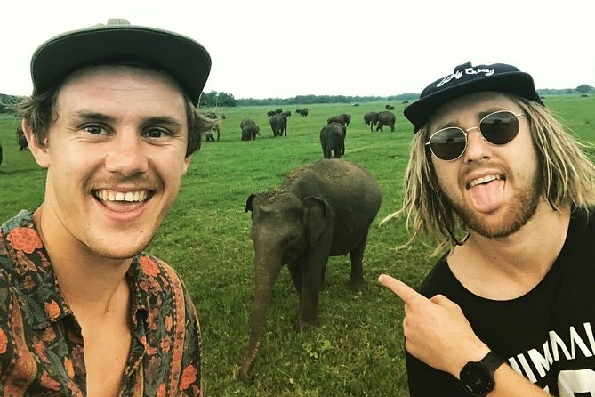 Kandy - Minneriya National park & Sigiriya Rock by tuk tuk tours - Why this Kandy day trip packs in so much