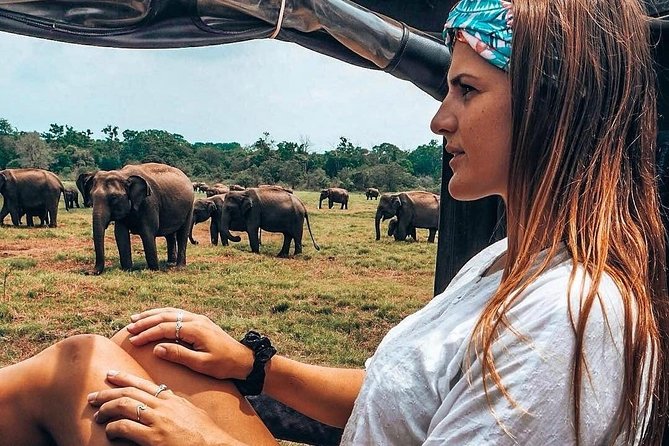Kandy - Minneriya National park & Sigiriya Rock by tuk tuk tours - The Ayurvedic village and possible shopping stops
