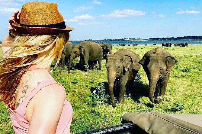 Kandy - Minneriya National park & Sigiriya Rock by tuk tuk tours - Fresh corn, king coconut, and Dambulla Cave Temple