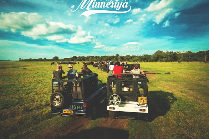 Kandy - Minneriya National park & Sigiriya Rock by tuk tuk tours - Guides, flexibility, and the private format