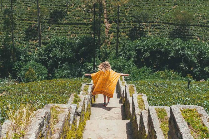 Kandy & Nuwara Eliya | 2 Days Tour - Kandyan dancing closes the first day