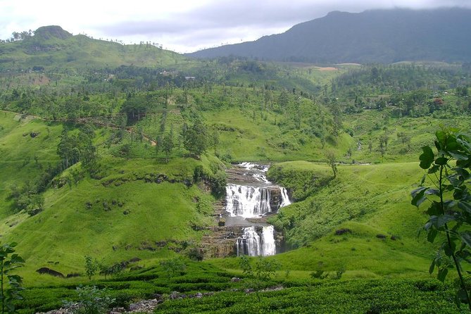 Kandy & Nuwara Eliya | 2 Days Tour - Nuwara Eliya feels unlike the coast