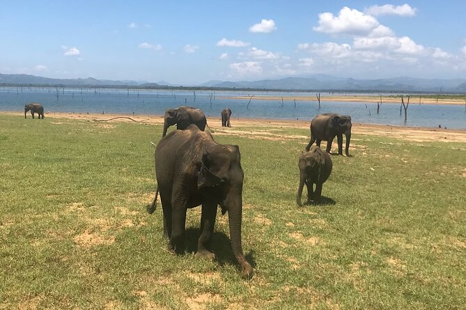 Multi Day Private Tour Around Sri Lanka with our Personal Driver - Why this route works well with a private driver