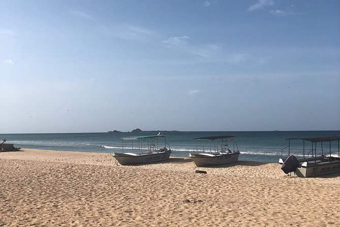 Negombo Day Tour - Key points before you book
