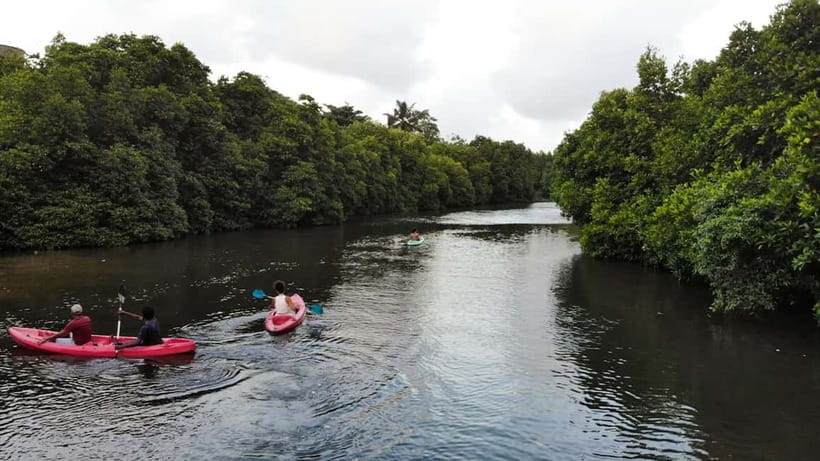 Negombo: Guided Kayaking Tour in the Lagoon - Key points before you book