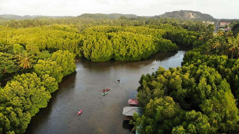 Negombo: Guided Kayaking Tour in the Lagoon - Paddling into the mangrove channels