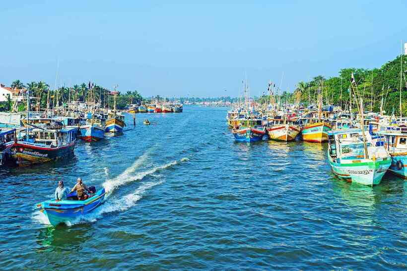 Negombo: Hamilton Canal to Colombo by Boat via Muthurajawela - Why the Dutch Canal is more than a boat ride