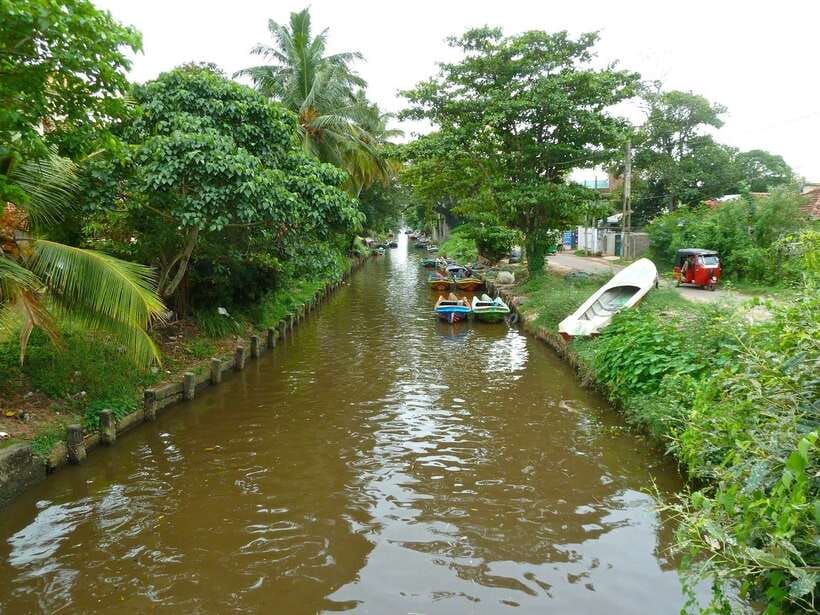 Negombo: Hamilton Canal to Colombo by Boat via Muthurajawela - Muthurajawela Wetland, where nature meets the city