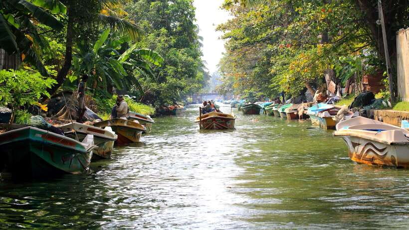 Negombo: Hamilton Canal to Colombo by Boat via Muthurajawela - How the $80 price measures up