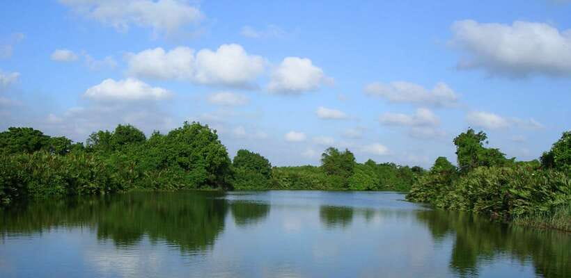 Negombo: Hamilton Canal to Colombo by Boat via Muthurajawela - Timing, comfort, and who should book