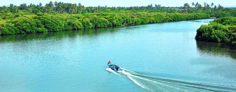 Negombo: Hamilton Canal to Colombo by Boat via Muthurajawela - Negombo Lagoon and its changing shoreline