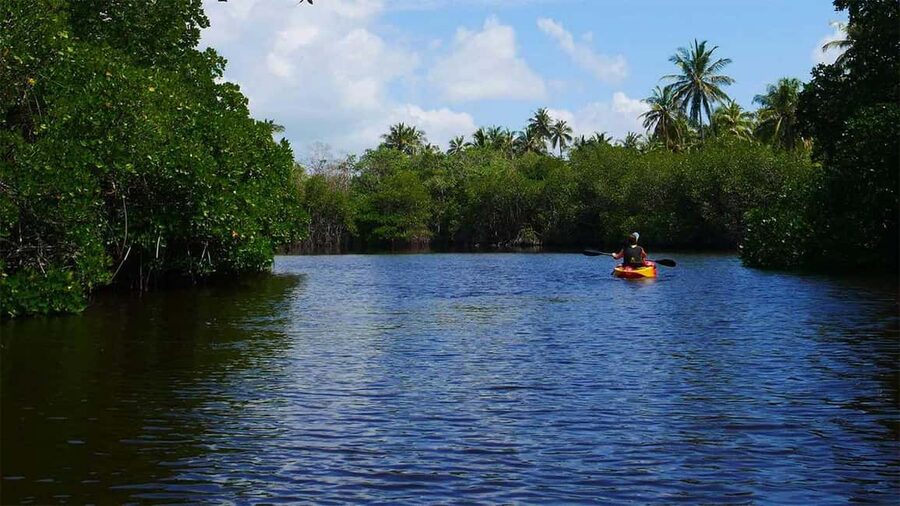 Negombo: Kayaking in the Lagoon - Key points to know before you paddle