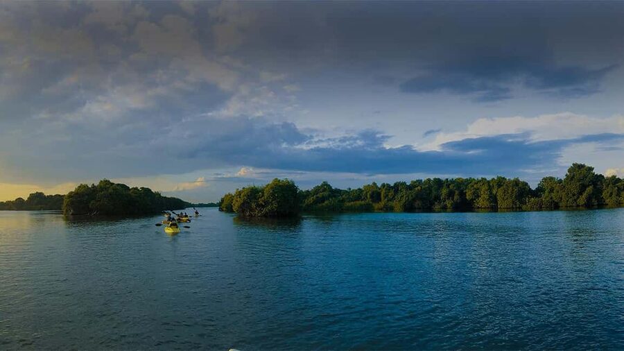 Negombo: Kayaking in the Lagoon - Who should book this kayak trip
