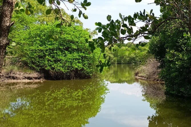 Negombo Lagoon Boat Safari Hotel Pickup(Monkey,Mangrove) - Choosing the Best Time of Day