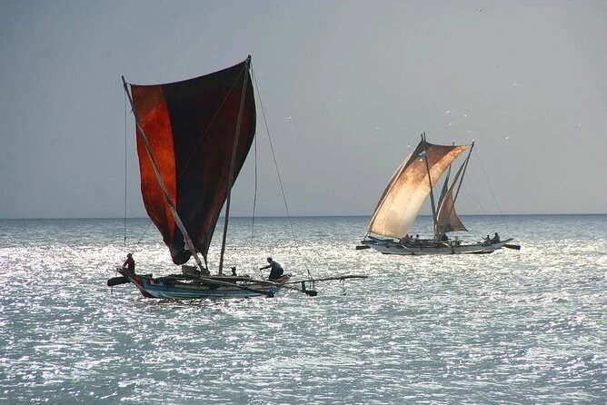Negombo Lagoon & Muthurjawela Bird Watching Boat Tour - What a private boat changes