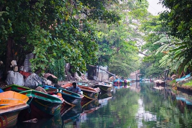 Negombo Lagoon & Muthurjawela Bird Watching Boat Tour - The $45 price and what you receive